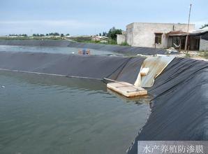 China 8 Meter black color 60mil HDPE geomembrane Impermeable Geomembrane hdpe pond liner for sale