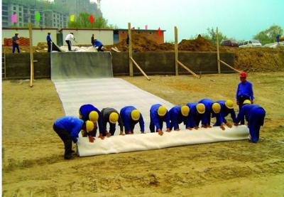 China 5200GSM Bentonite Geosynthetic Clay Liner Geomembrane by professional supplier with best factory price for wholesale for sale