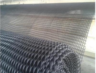 China 3.95M composite geonet drainage net soil protection for sale