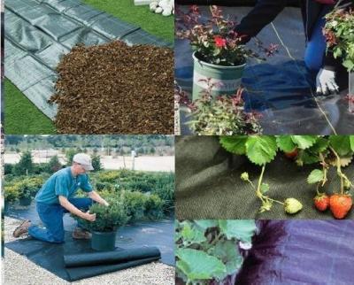 China 1-6 Metere width black  color garden weed control killer fabric supplier with best price by sincere factory for sale