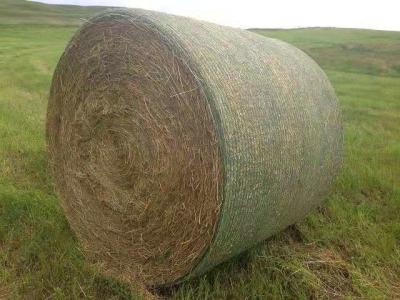 China biodegradable erosion control blanket coir Geotextile slope reinforcement soil erosion factory price for sale