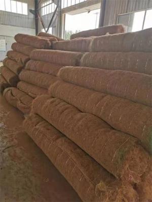 China 300g erosion control blanket slope reinforcement soil erosion for sale