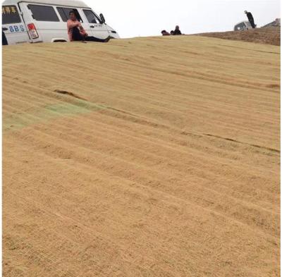 China erosion control blanket coir Geotextile for sale