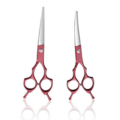 China HAIR Pet Scissors Cutting Professional Curved Pet Grooming Scissors Shears Salon Barber Using Dogs and Cats Curved Shear for Teddy for sale