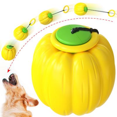 China Amazon Best Selling Viable Dog Chew Toys Pet Interaction Dog Chew Toyspumpkin Toy Ball Durable Dog Chew Toy for sale