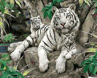 China Abstract White Tiger DIY Canvas Painting By Numbers Arts Craft For Home Wall Decoration Paint By Number for sale