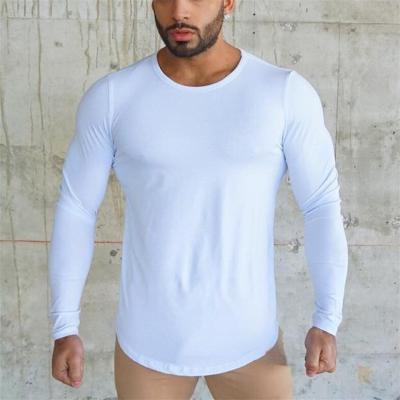 China Anti-Wrinkle Pure Cotton Breathable Sports Slim Round Neck Long Sleeve Topmen Long Sleeve T-Shirt for sale