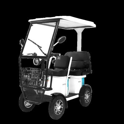 China China 3 Wheel Adult Passenger Leisure Electric Tricycle New for sale