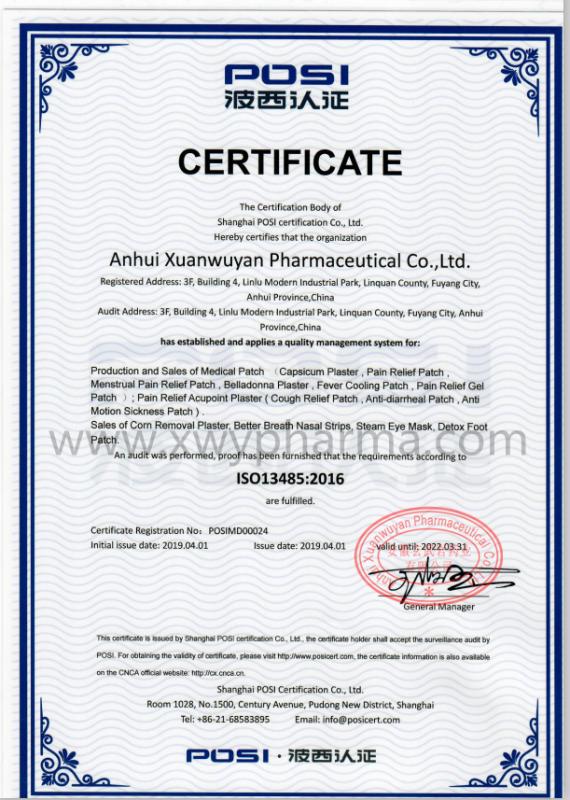 ISO13485 - Anhui Xuanwuyan Pharmaceutical Co., Ltd.