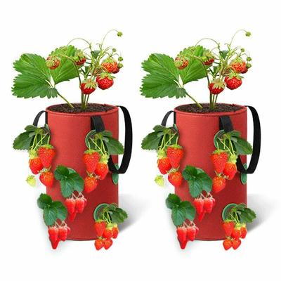 China Planting Strawberry Cloth Hanging Strawberry Planting Containers Strawberry Grow Bags Hanging Strawberry Planter for sale