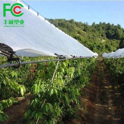 China Waterproof film coating woven fabric both sides transparent woven fabric film for cherry tree protection for sale