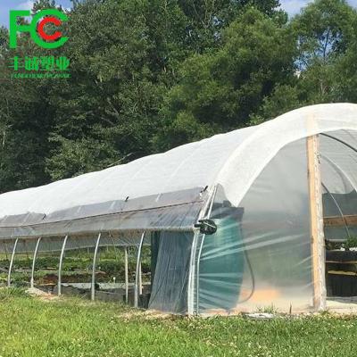 China Greenhouse Seedling Growing 200 Micron Greenhouse UV Resistant Plastic Film , Greenhouse Agricultural Plastic Sheet for sale