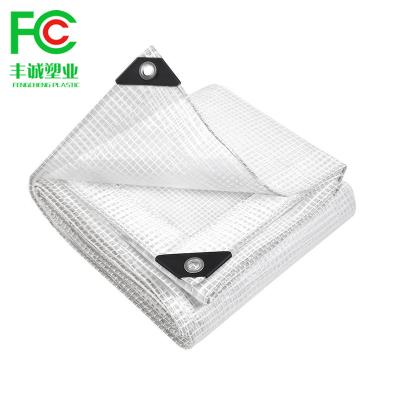 China Wholesale Greenhouse Seedling Porcelain Pe Greenhouse Gauze Tarp Growing Clear Mesh Tarp for sale