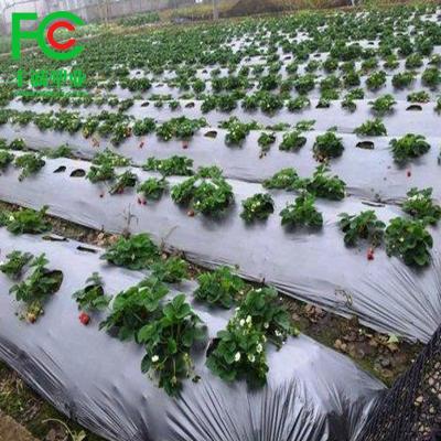 China Agriculture Agro Mulch Films / Plastic Mulch Film /Silver Black Mulch Film 10 Micron for sale