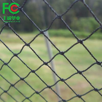 China Agriculture Use 100% PP Knotted Nylon Net Bird Net Extrusion Anti Bird Netting for sale