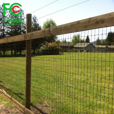 China 100% PP +UV Stabilized PP Plastic Anti Bird Net Anti Mole Punch Bird Netting for sale