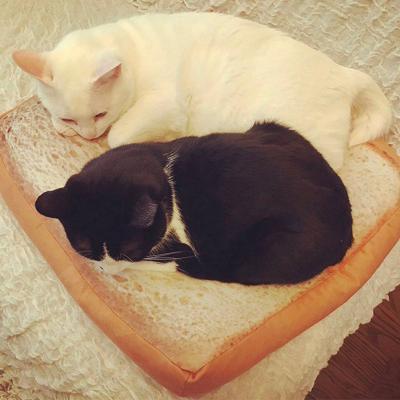 China 2021 Viable Pet Products Low Price High Quality Pet Bed For Cama Para Mascotas Pet Bed Bed for sale