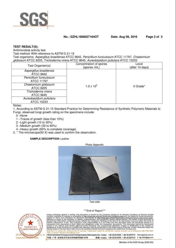 Antimicrobial Activity Test - Xleisure Limited