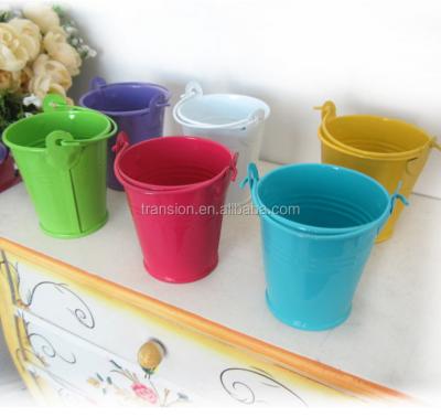 China New Available Europe Flower Mini Metal Bucket The Garden Bucket The Creative Bucket for sale