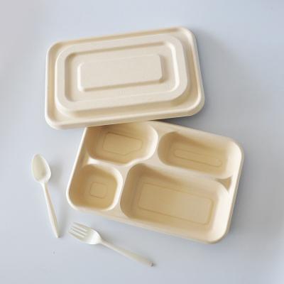 China 100% Compostable Disposable Biodegradable Sugar Cane Bagasse Take Out Bento Food Container Lunch Box for sale