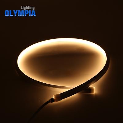 China IP68 Waterproof Outdoor LANDSCAPE Rating LED Strip Light 24V Neon Flex Pipe for sale