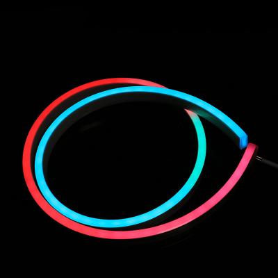 China LANDSCAPE 24v DC Led Pixel Chasing Led Strip Changing Led Neon Rope Light Neon Lamp for sale