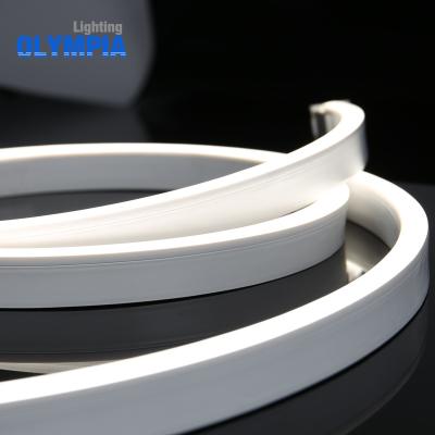 China 24volt LANDSCAPE flex led neon rope 2000-5000k 5050smd led strip neon light led strip for sale