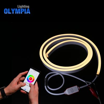 China Felxible Waterpoof UV Resistance IP68 Rated BT Waterproof Multi Color RGBW Remote Control Flexible Led Neon Strip Light for sale