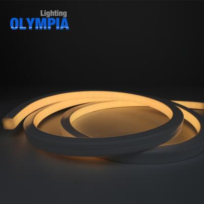 China Swimming Pool Decorative Cable 12V Waterproof Neon Underwater RGBW Led Strip Light for sale