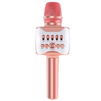 China New professional handheld karaoke microphone portable radio handheld karaoke microphone with speaker H53 family KTV MIC for sale