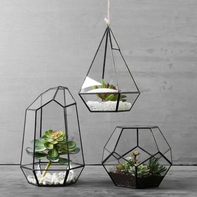 China Minimalist Succulent Plant Decorative Black Glass Air Plants Bestselling Geometric Mini Greenhouse for sale