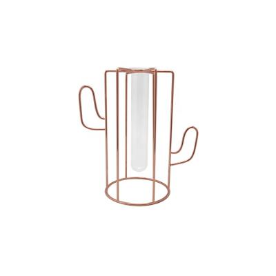 China CLASSIC Hot Selling Geometric Cactus Gold Metal Stands Plant Glass Tube Hydroponic Vase for sale