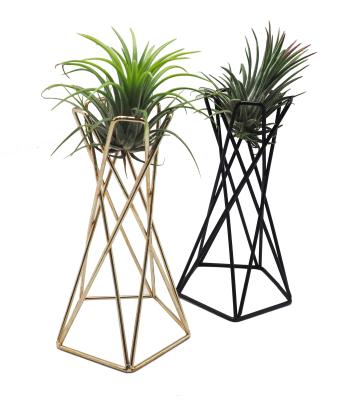 China Minimalist Hongxin New Product Test Tube Flower Vase Gold Or Black For Home Decoration for sale