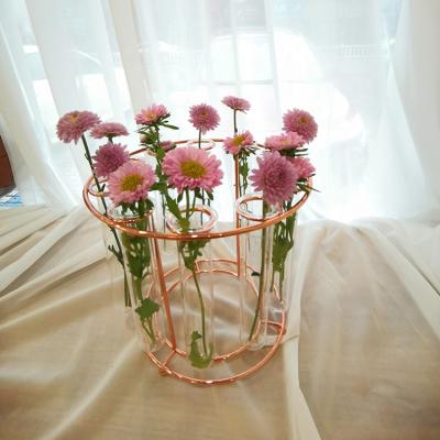 China High Quality Minimalist Metal Flower Glass Tube Vase For Home Decor Flower Plant Vase for sale