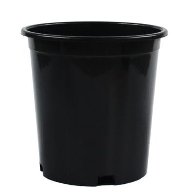 China 1 Gallon Modern Cheap Black Plastic Nursery Flower Pots For Garden Planters for sale