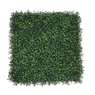 China Eco-Friendly UV Hedge Panel Boxwood Foliage Protection Plants Wall Faux Grass Green Wall For Vertical Privacy Garden for sale