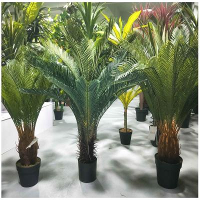 China Waterproof Hot Selling Artificial Plastic Cycas Revoluta Palm Sago Palms Cycas Bonsai Plants Living Room Decor For Home Decor for sale