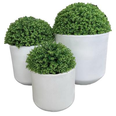 China Modern The Environmentally Friendly Fiberglass Cement Plant And Flowerpot Wholesale Light Outdoor Planter for sale