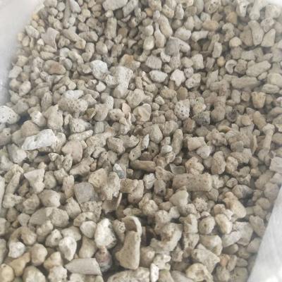 China Viable Natural Reef Coral Bone Aquarium Filter Medium Landscaping Sand Coral Stone Coral Park for sale