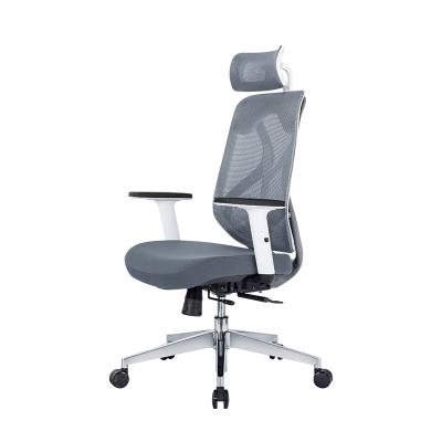 China (Size)Adjustable High Back Full Mesh Ergonomic Office Chair from MIA Furniture Factory Direct Sale for sale