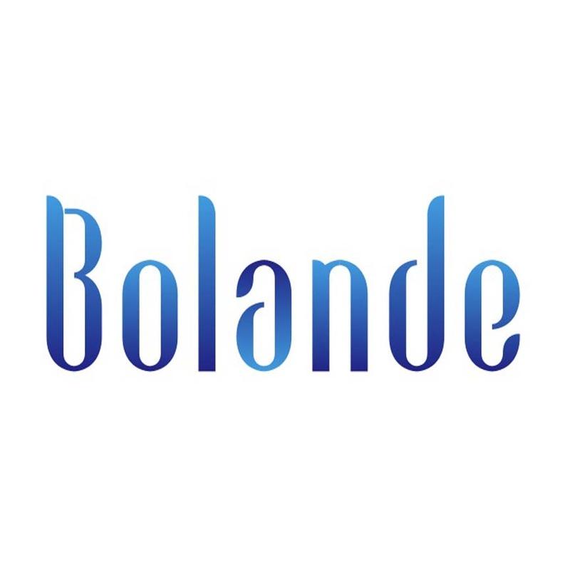 Verified China supplier - Foshan Bolande Industrial Company Limited