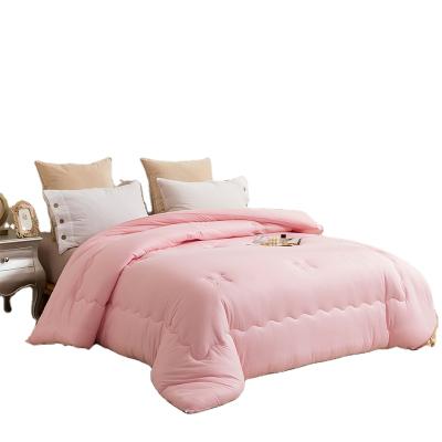 China Princess Style Winter Warm Microfiber Skin-Friendly Comforter for sale