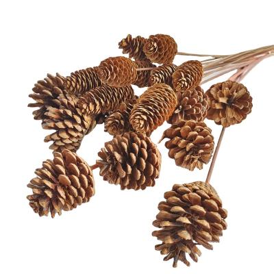 China Real Plants Cheap Dried Natural Mini Flower Pine Cones For Christmas Decoration Home Decoration for sale