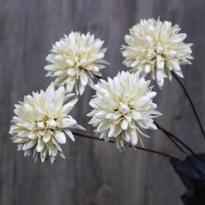 China Dried Flower Handmade Flowers Dried Magnolia Balls Flower For Christmas Decorations for sale