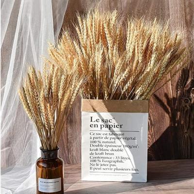 China Dried Wheat 50 Pcs 100% Natural Dried Wheat Sheaves Stems For DIY Home Christmas Wedding Decoration for sale