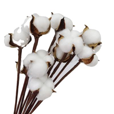 China Cotton artificial cotton plants with real natural effects are ideal for flower vases, cotton garlands and cotton garlands for sale