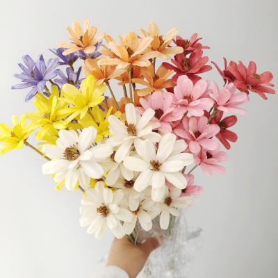 China Real Factories Wholesale Cheap Handmade Dried Flowers Melon Seeds Flower For Flower Arrangement for sale