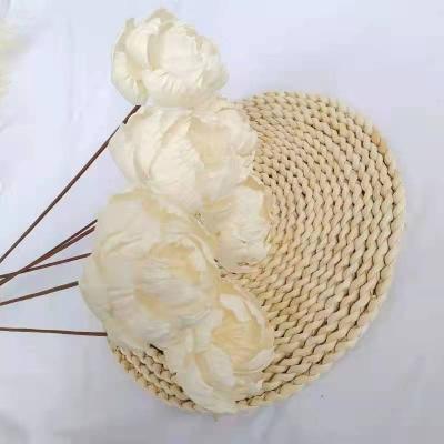 China 2022 New Arrival Artificial Plastic Peony Flower For Home Wedding Decoration for sale