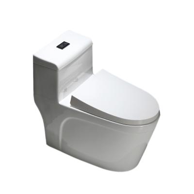 China Concealed High Quality Floor Standing Integrated Siphon Type Cistern Flushing WC Body Ceramic Toilet for sale