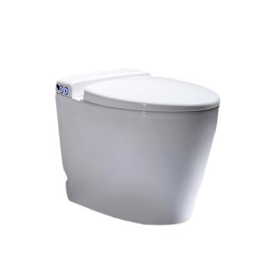 China New Easy Pulse Electronic Solenoid Toilet Double-Flow Operation Ceramic Toilet With Battery for sale